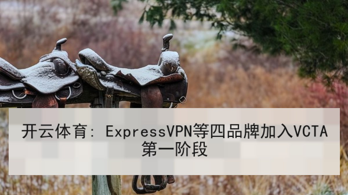 开云体育: ExpressVPN等四品牌加入VCTA第一阶段