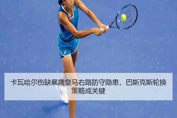 ka-wa-ha-er-shang-que-bao-lu-huang-ma-you-lu-fang-shou-yin-huan-ba-si-ke-si-lun-huan-ce-lve-cheng-guan-jian-2-811.jpg