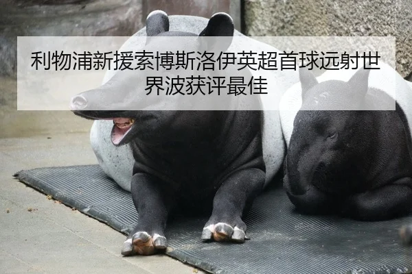 利物浦新援索博斯洛伊英超首球远射世界波获评最佳
